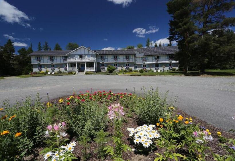 فندق Carlson S Lodge