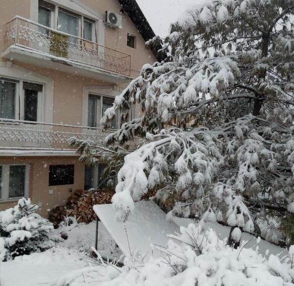 پانسیون Hostel Bata