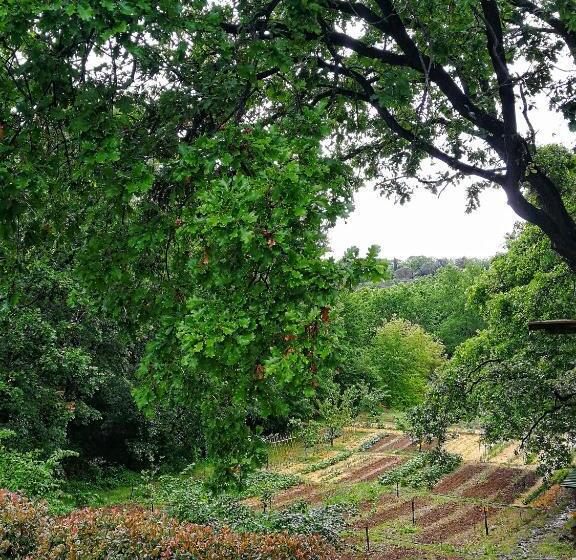 ホテル Agriturismo Podere Santa Rita