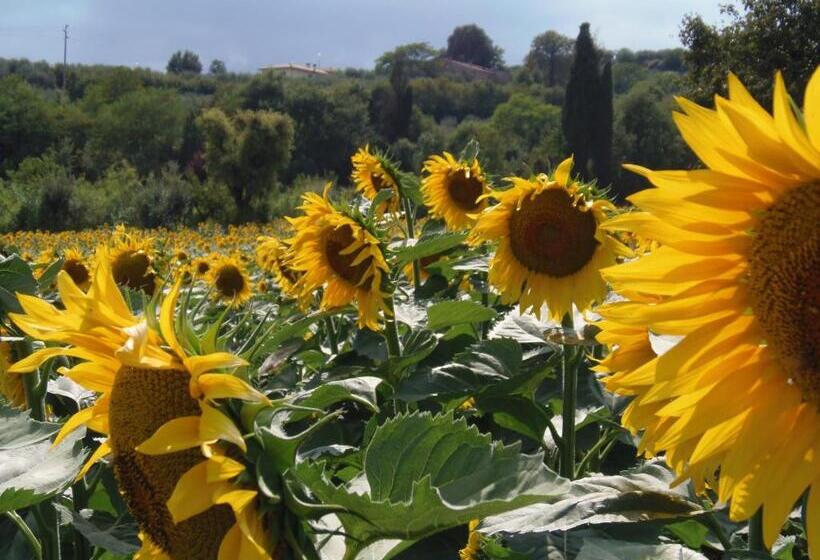 酒店 Agriturismo La Capacciola