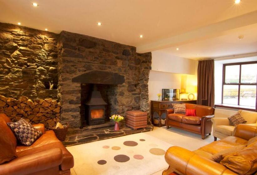 펜션 Dolffanog Fawr