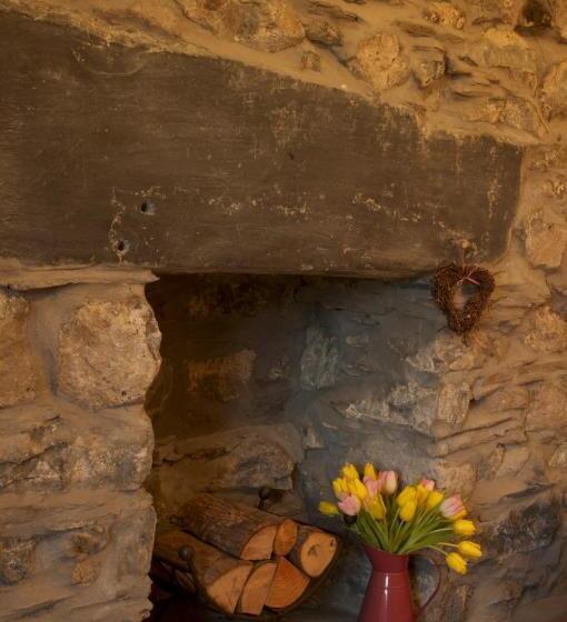 פנסיון Dolffanog Fawr