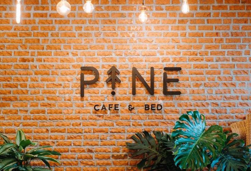 بنسيون Pine Cafe &bed