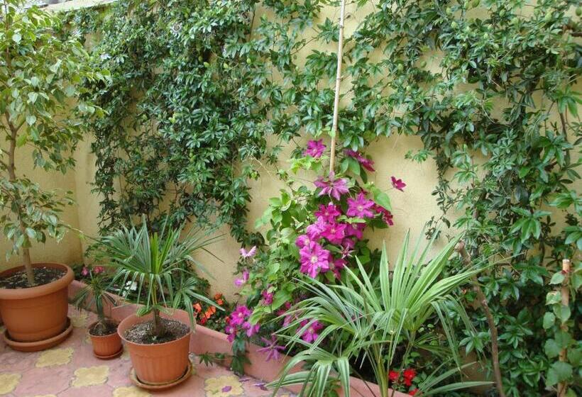 پانسیون Stela Guest House