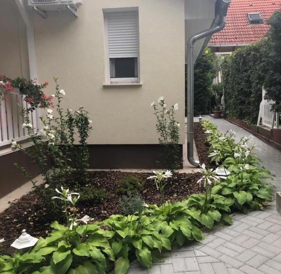 膳宿费 Szem S Vendégház