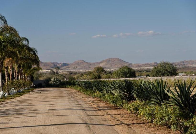 פנסיון The Falls Guest House