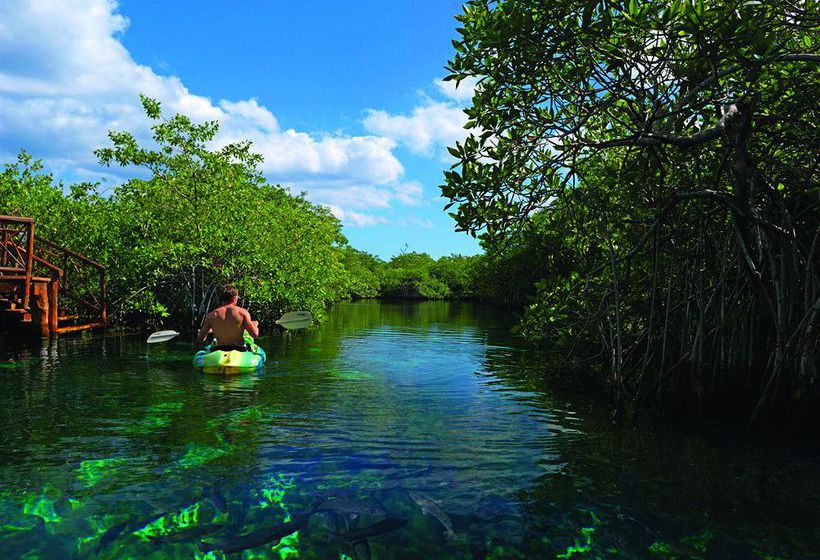 فندق Bel Air Collection Resort & Spa Riviera Maya