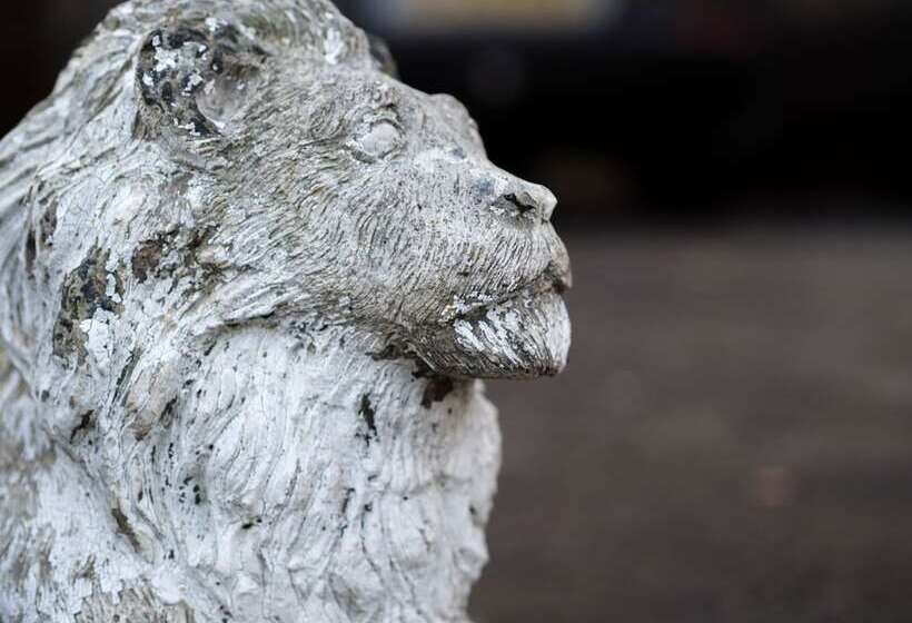 Fotos del hotel Cumberland Hotel:  5