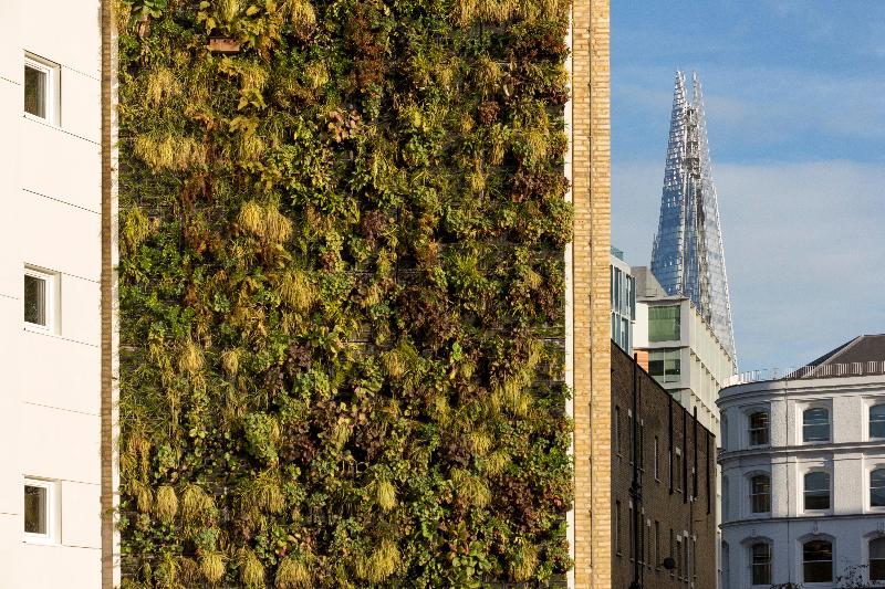 Fotos del hotel Holiday Inn Express Southwark, An Ihg:  5