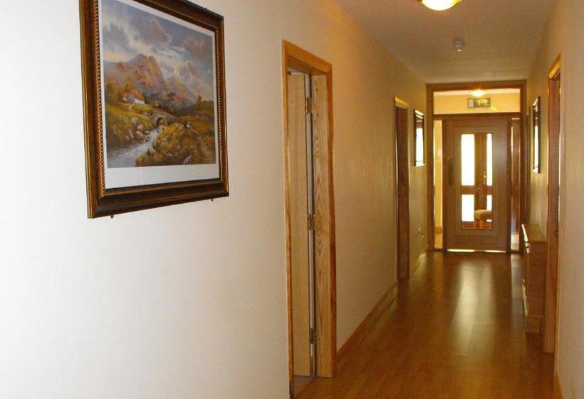 هتل Ma Dwyer's Guest Accommodation