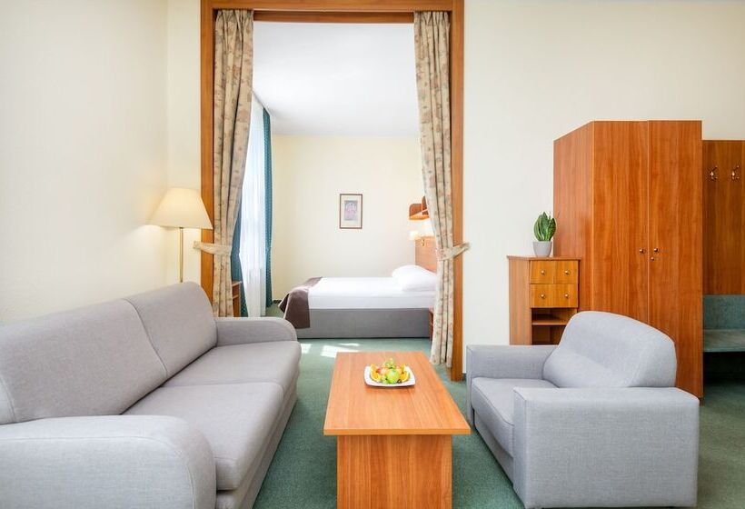 Fotos del hotel Hunguest  Millennium:  6