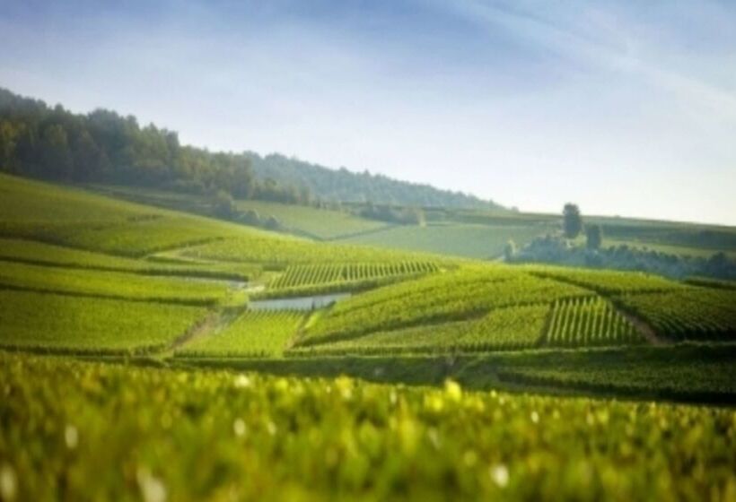 בית מלון כפרי Premiere Classe Reims Est  Taissy