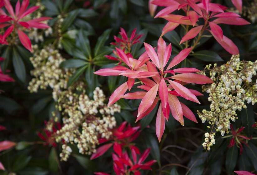 هتل روستایی Casona De La Paca