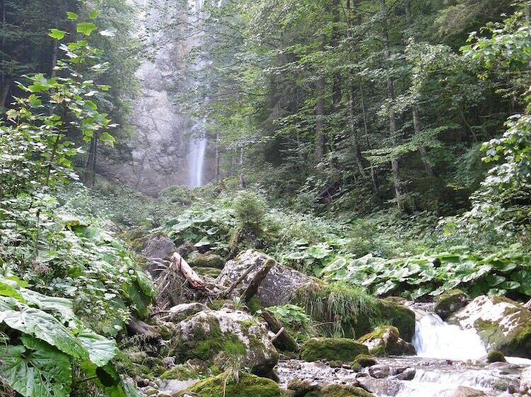 旅馆 Waldgasthaus Lehmen