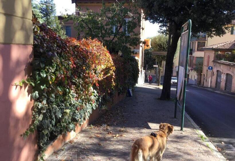 B&b La Castagnina