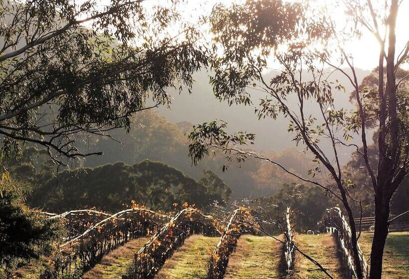 Blue House At Mountainside Wines