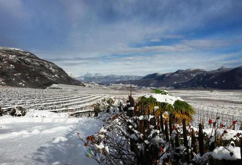 Отель Weinberghof