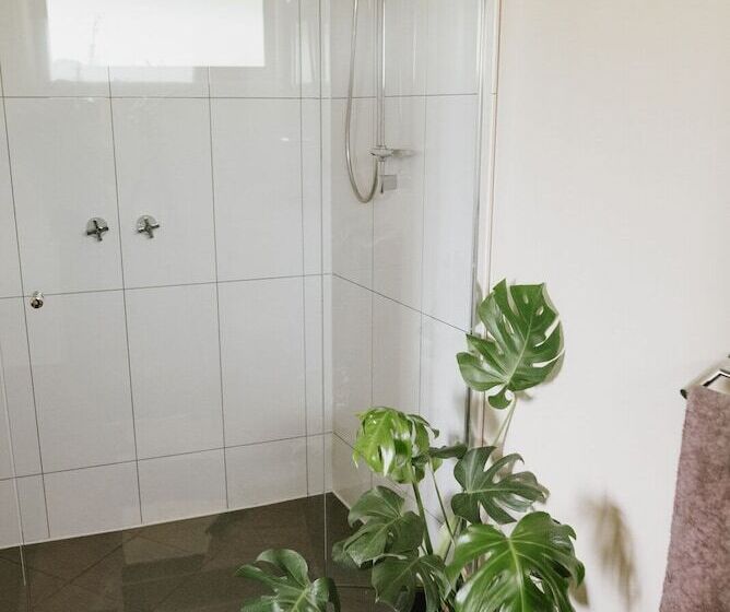 膳宿费 Spring Spur Stay