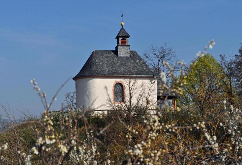 Пансион Hofgarten Rosa