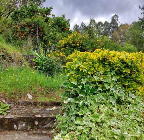 הוסטל Watermill Moinho Garcia