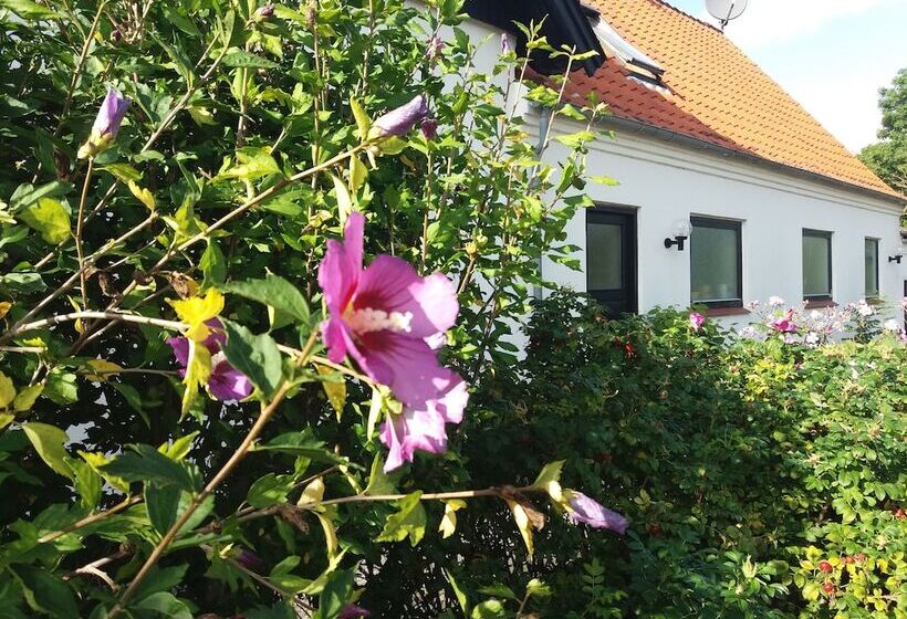 B & B Hygge