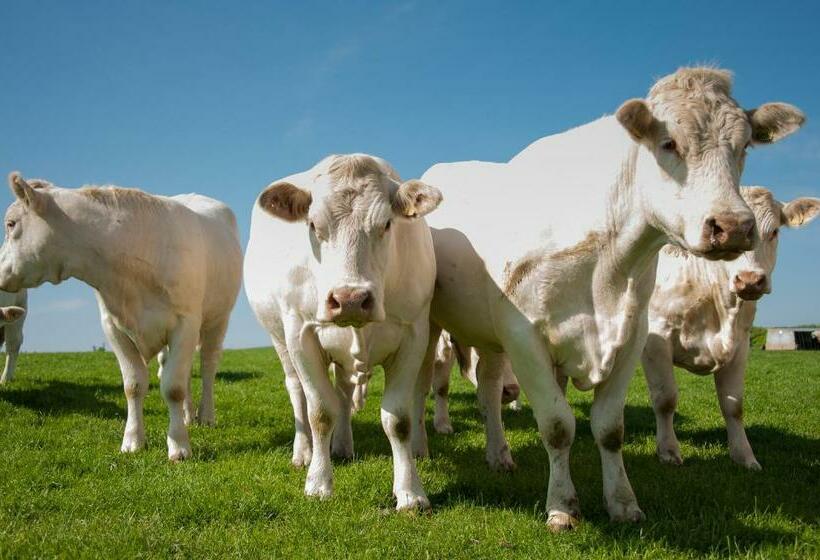 مبيت وإفطار Beera Farmhouse