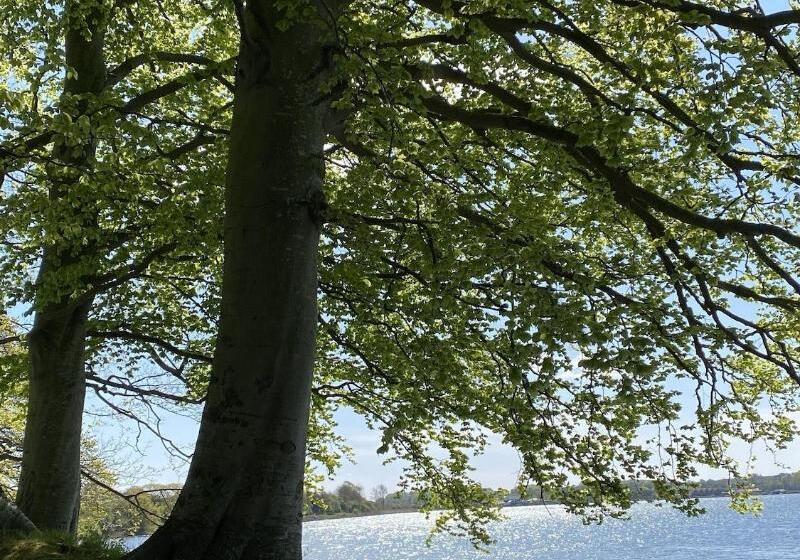 צימר Huset I Hejls