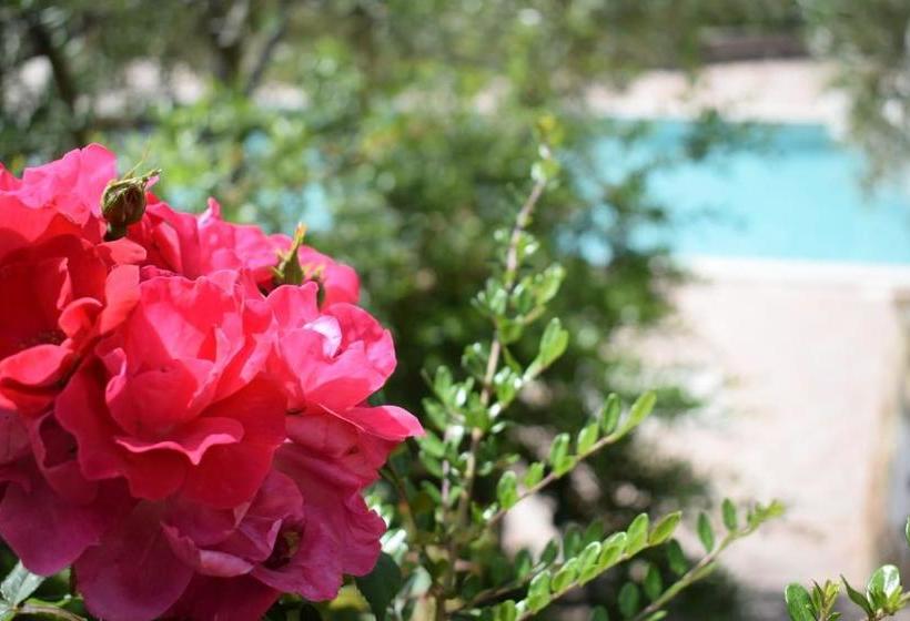 酒店 Agriturismo Colle Mura