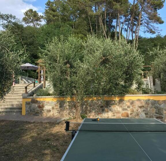 فندق Agriturismo Il Pino