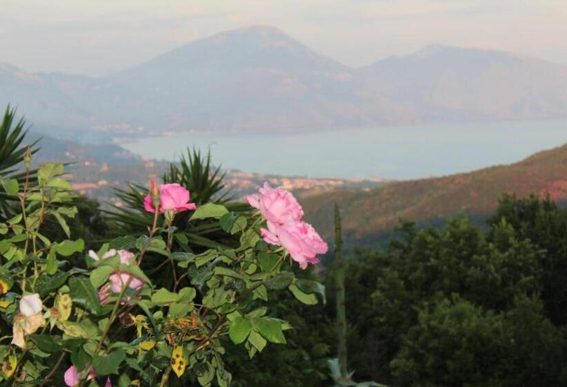 호텔 Il Rifugio Del Contadino Art & Nature