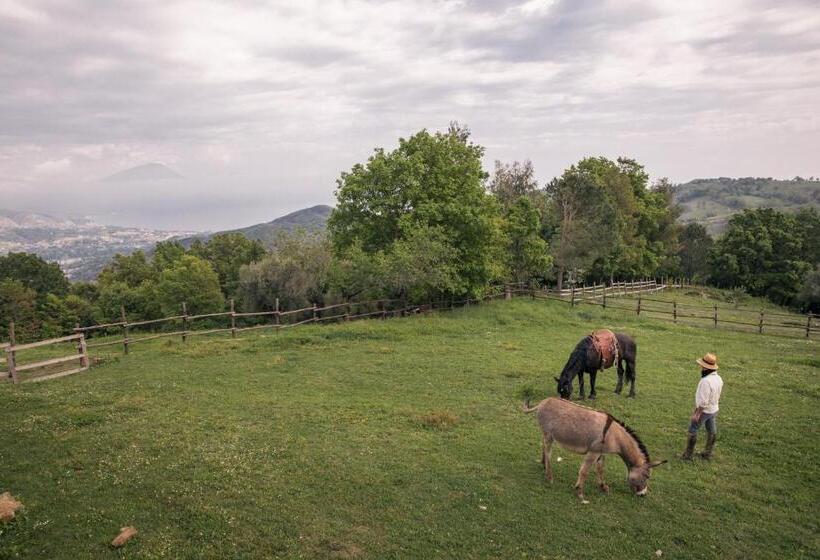 호텔 Il Rifugio Del Contadino Art & Nature
