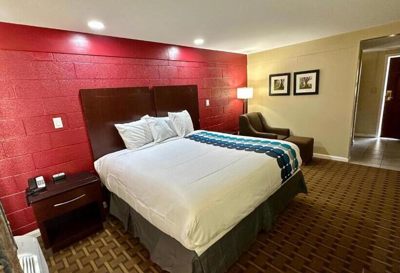 מוטל Royal Inn   North Augusta   Home Of The Masters   Augusta Downtown