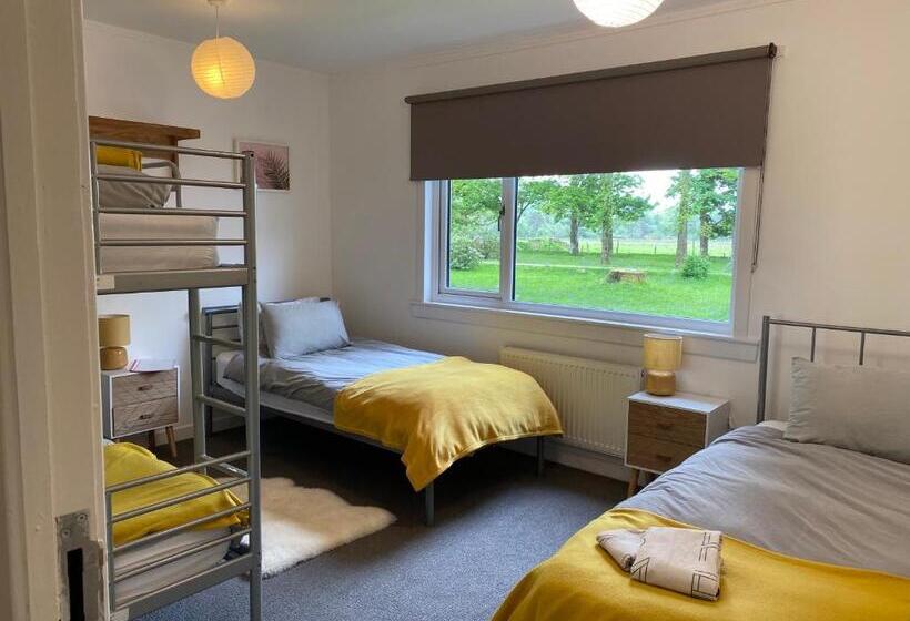 旅馆 The Bunkhouse
