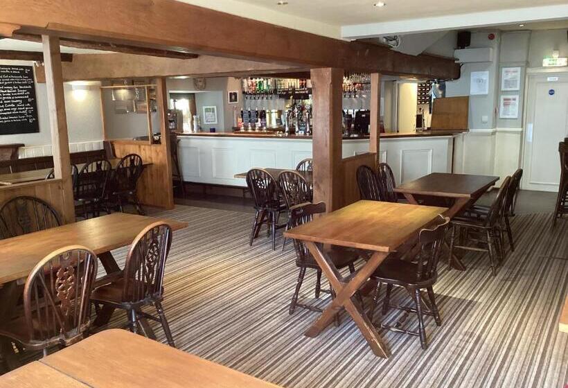 Общежитие The Silverton Inn
