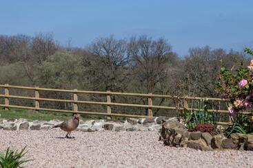 Fernside Bed And Breakfast