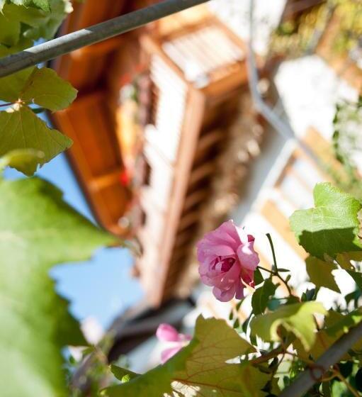 בית מלון כפרי Agritur Renetta