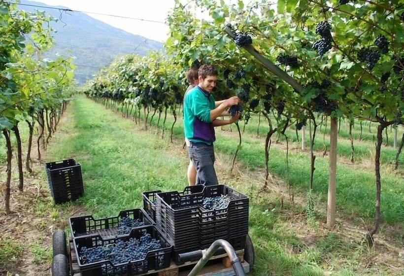 호텔 Agriturismo Salizzoni