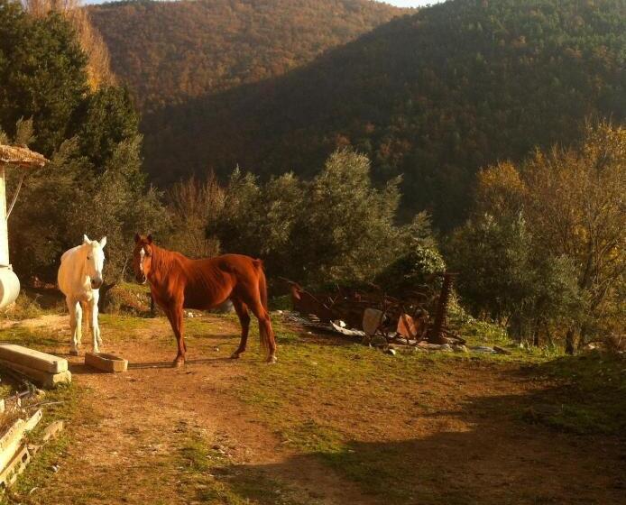 فندق Agriturismo Villa Gabbiano