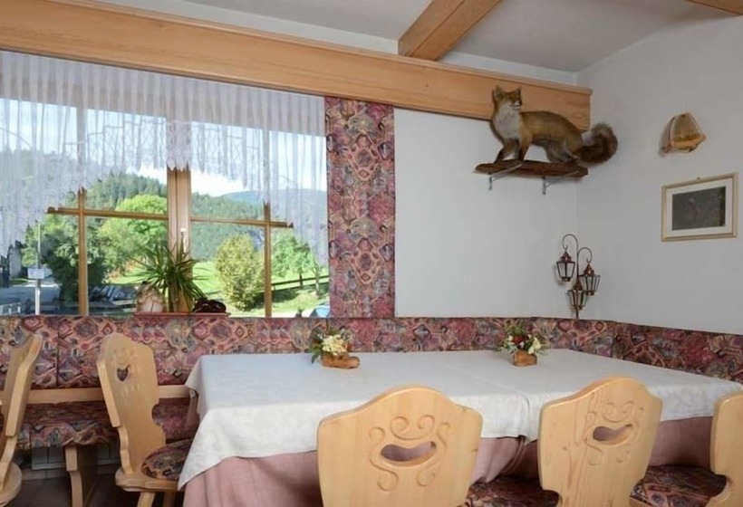 호텔 Albergo Aurora