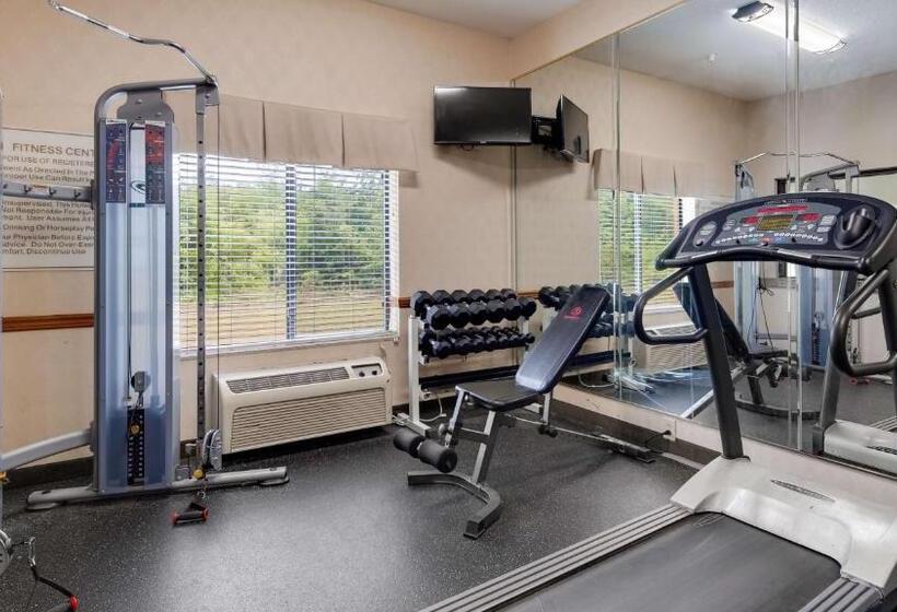 فندق Best Western Executive Inn   Latta