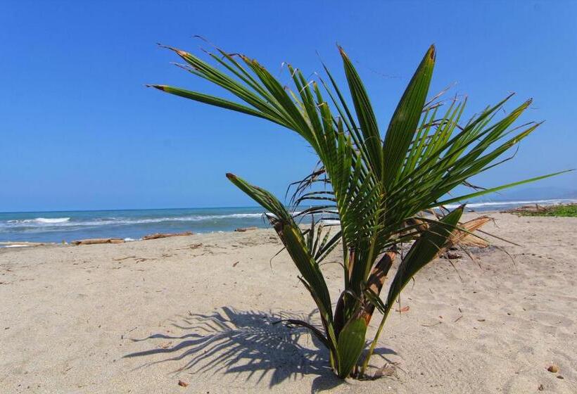 בית מלון כפרי Blue Mango Beach