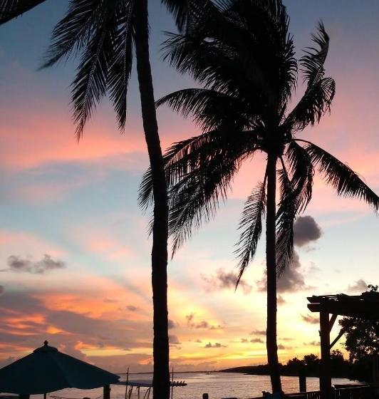 فندق Conch Key Fishing Lodge & Marina