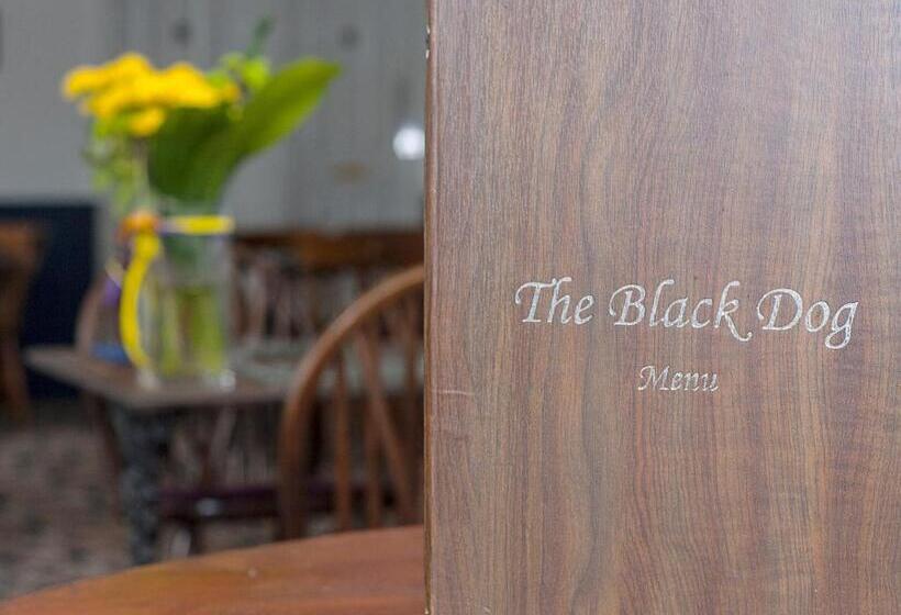 هتل The Black Dog Inn