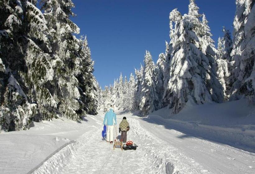 هتل Zum Schneekopf Garni