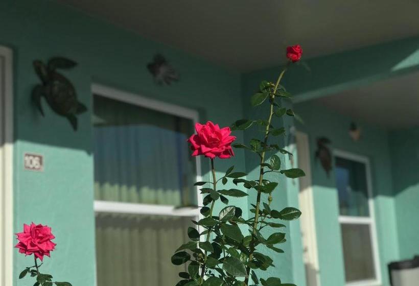 فندق على الطريق Immokalee Inn