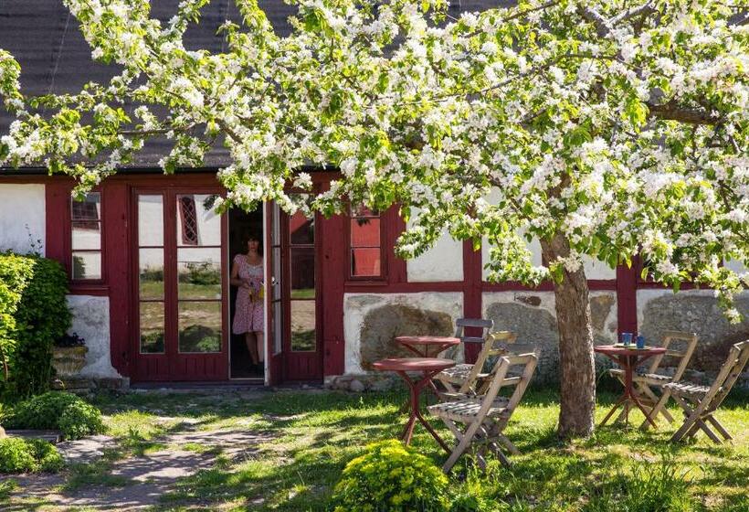 פנסיון Stf Brantevik Råkulle Hostel