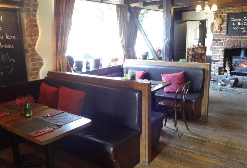 פנסיון The Dove Inn