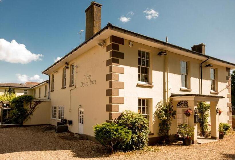 פנסיון The Dove Inn