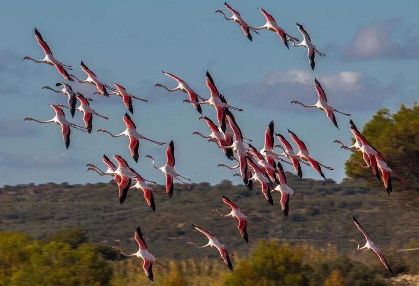Residence La Scogliera By Barbarhouse