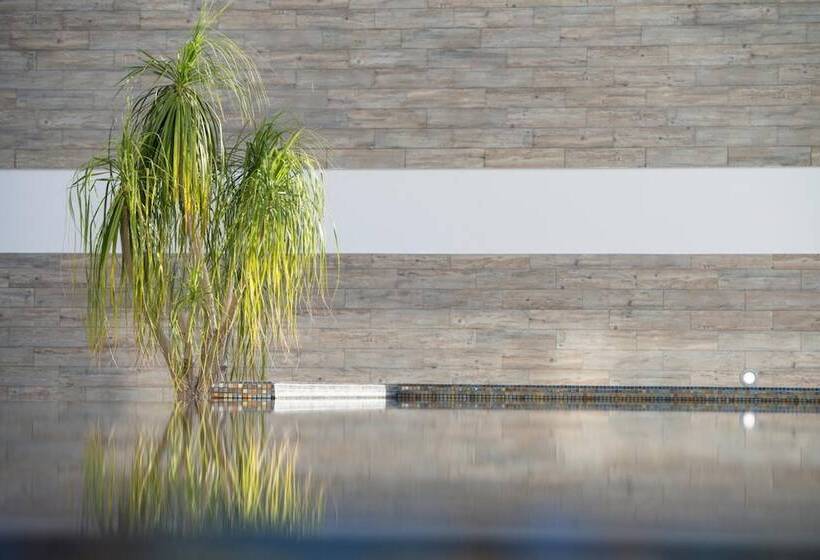 Fotos del hotel Alto Lido:  23